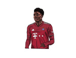 Load image into Gallery viewer, Alphonso Davies FC Bayern Munich Air Freshener
